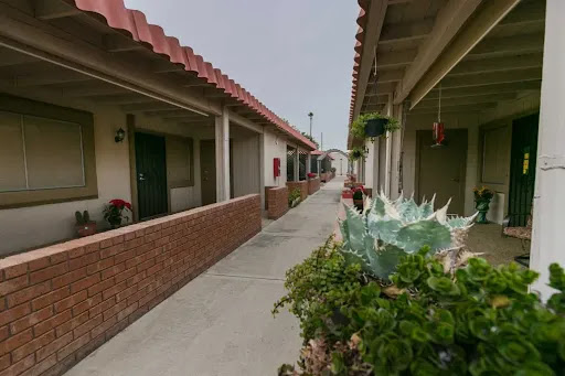 A serene pathway lined with residential buildings and greenery.