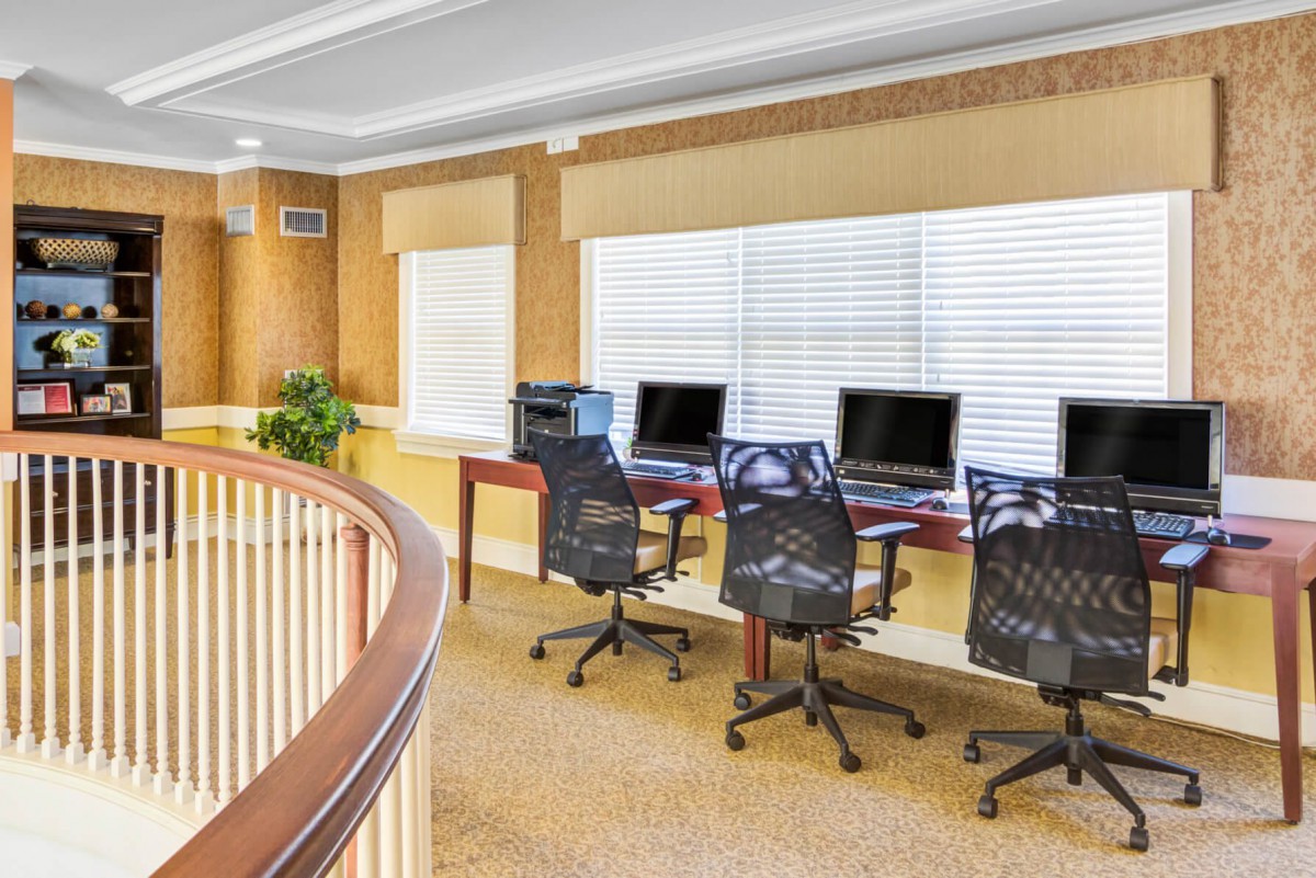 A modern office workspace with computers and ergonomic chairs by the window.