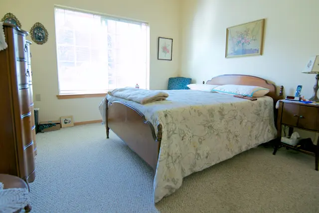 A well-lit bedroom with a large bed, soft carpet, and framed artwork on the walls.