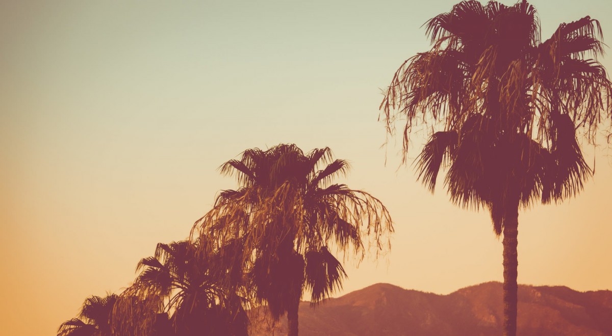 A picturesque view of palm trees silhouetted against a sunset sky with mountains in the background.