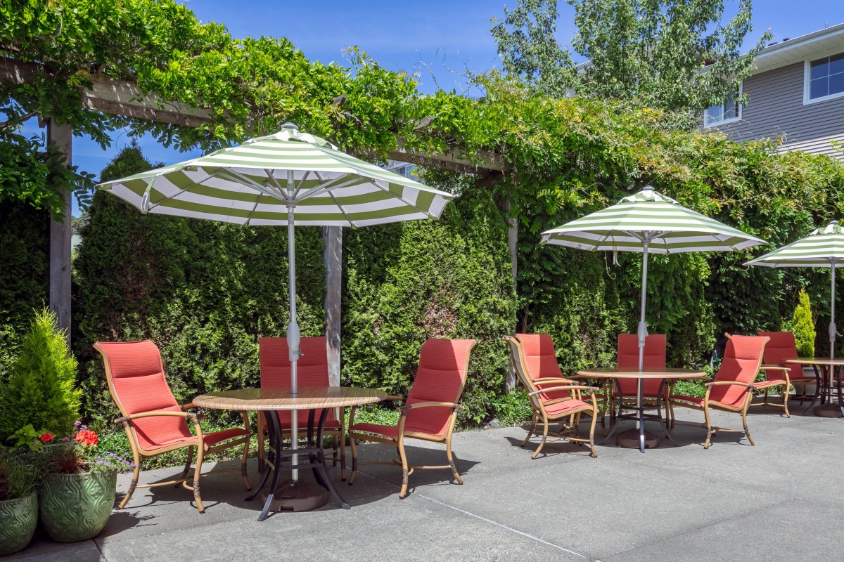 A sunny patio with tables, chairs, and umbrellas surrounded by lush greenery.