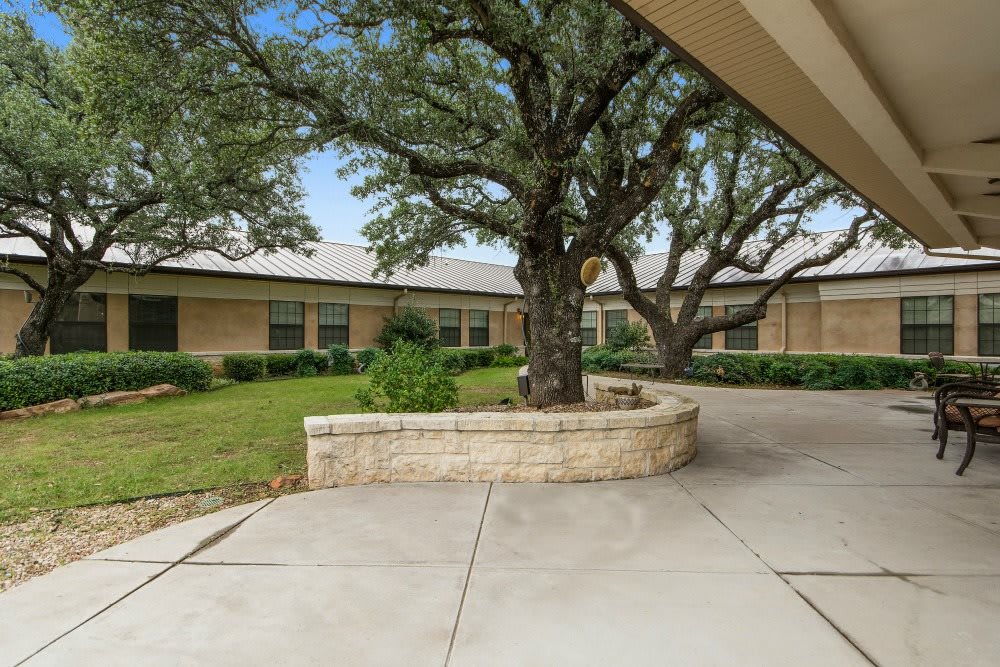 A courtyard with a large tree, surrounded by a building and greenery.