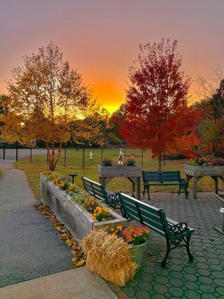 Woodpecker Hill Health Center