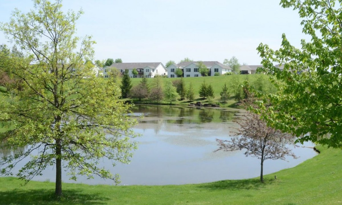 A serene view of a pond surrounded by lush greenery and suburban houses in the background.