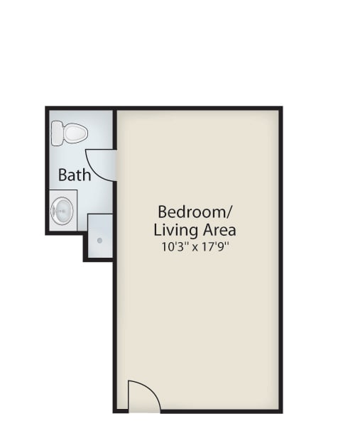 Studio apartment floor plan showing a combined bedroom and living area with an adjacent bathroom.