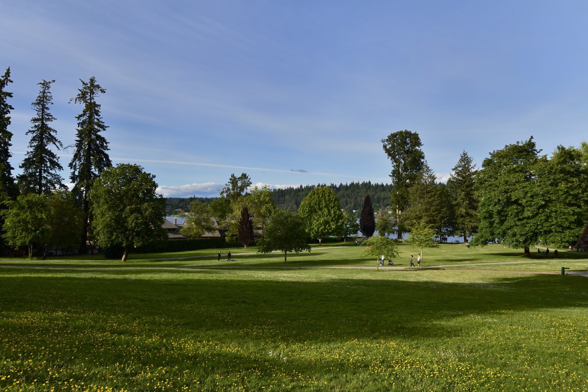 A scenic view of a park with green grass, trees, and people enjoying the outdoors under a clear blue sky.