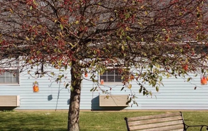 Oak Hill Rehabilitation And Nursing Care Center