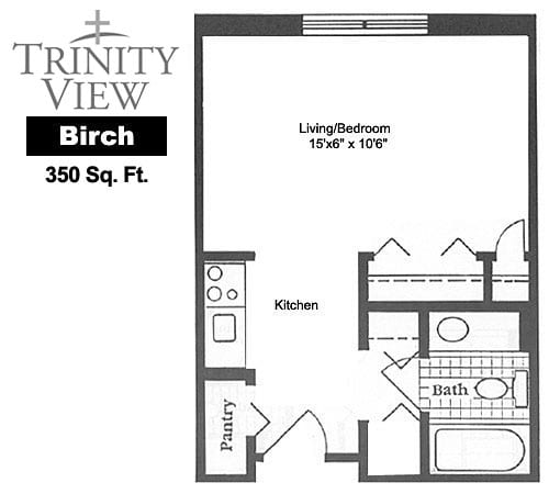 Floor plan of a 350 sq. ft. studio apartment at Trinity View, featuring a combined living and bedroom area, kitchen, and bathroom.