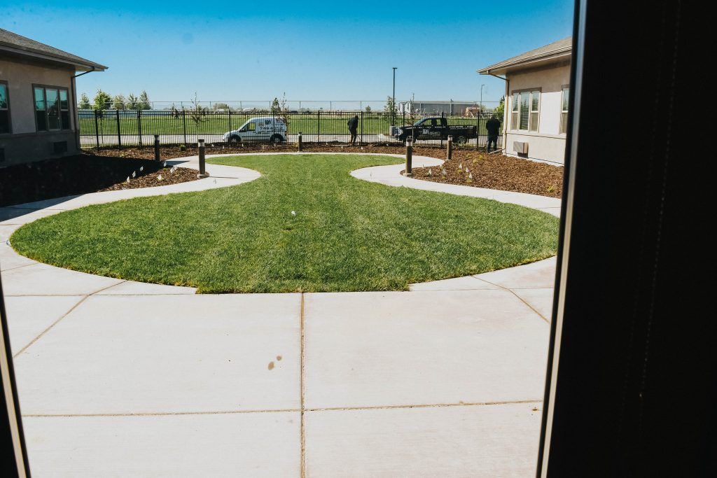 View of a lawn and driveway outside a house on a clear day.