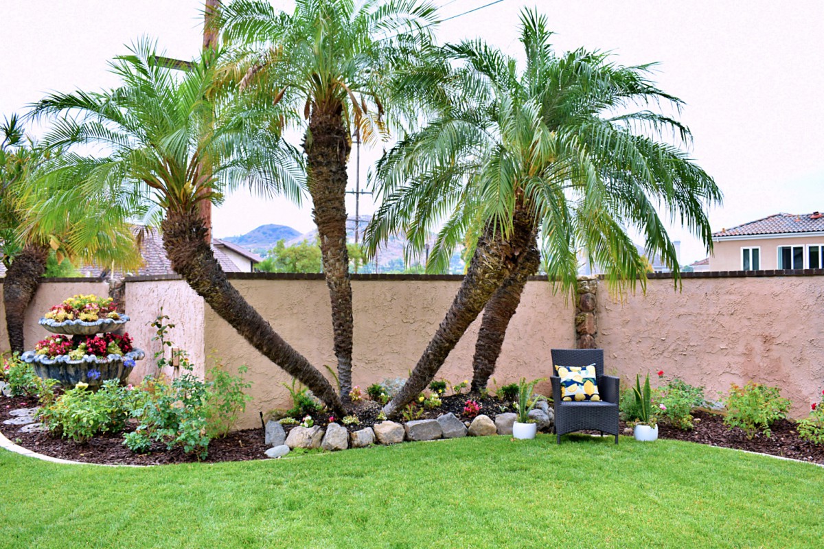 A beautifully landscaped backyard featuring palm trees, a lush green lawn, and a cozy outdoor chair.