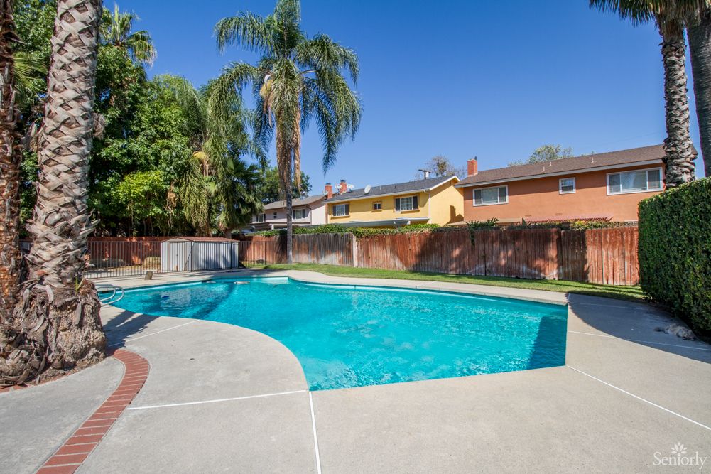 A backyard swimming pool surrounded by trees and walls under a clear blue sky.