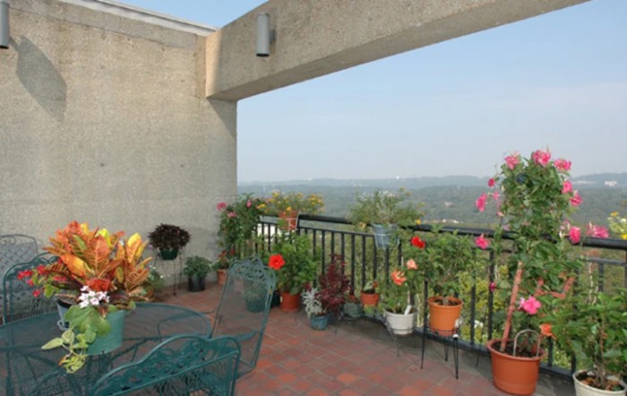 A scenic balcony with potted plants and outdoor furniture.