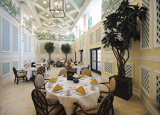 An elegant dining room with neatly arranged tables and chairs, adorned with indoor plants.