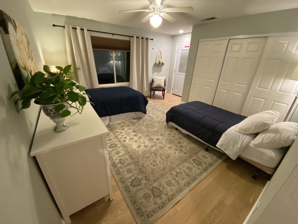 A neatly organized bedroom featuring twin beds, a large rug, and stylish decor elements such as plants and neutral curtains.