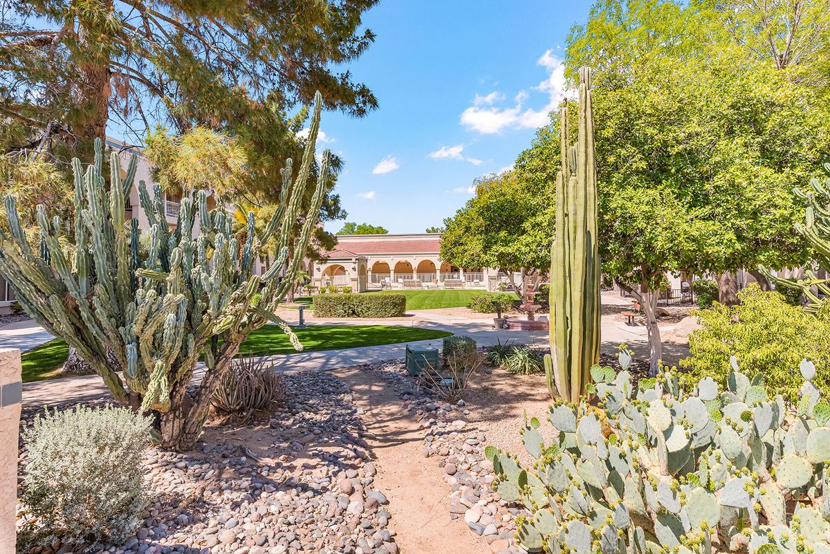 A picturesque botanical garden featuring a variety of cacti and desert plants under a clear blue sky.