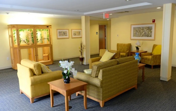A cozy waiting area with comfortable seating and decorative elements.