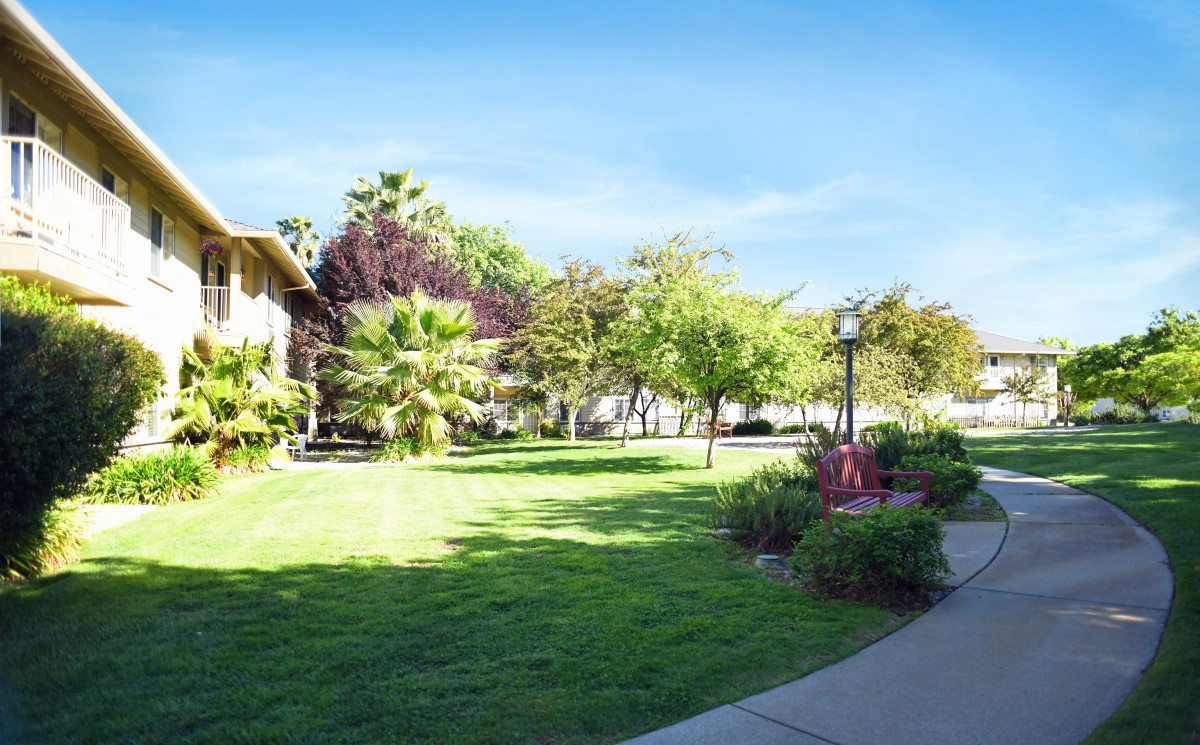 A sunny garden with a well-maintained lawn, surrounded by trees and a winding pathway.