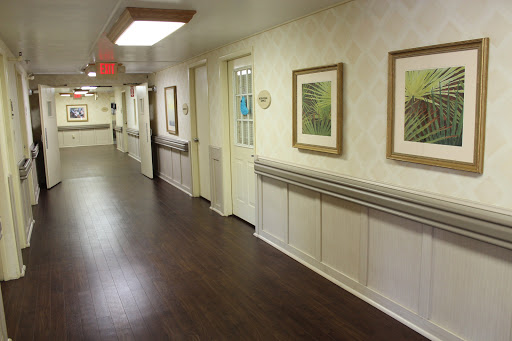 A well-lit hallway displaying framed artwork and a decorative interior design.