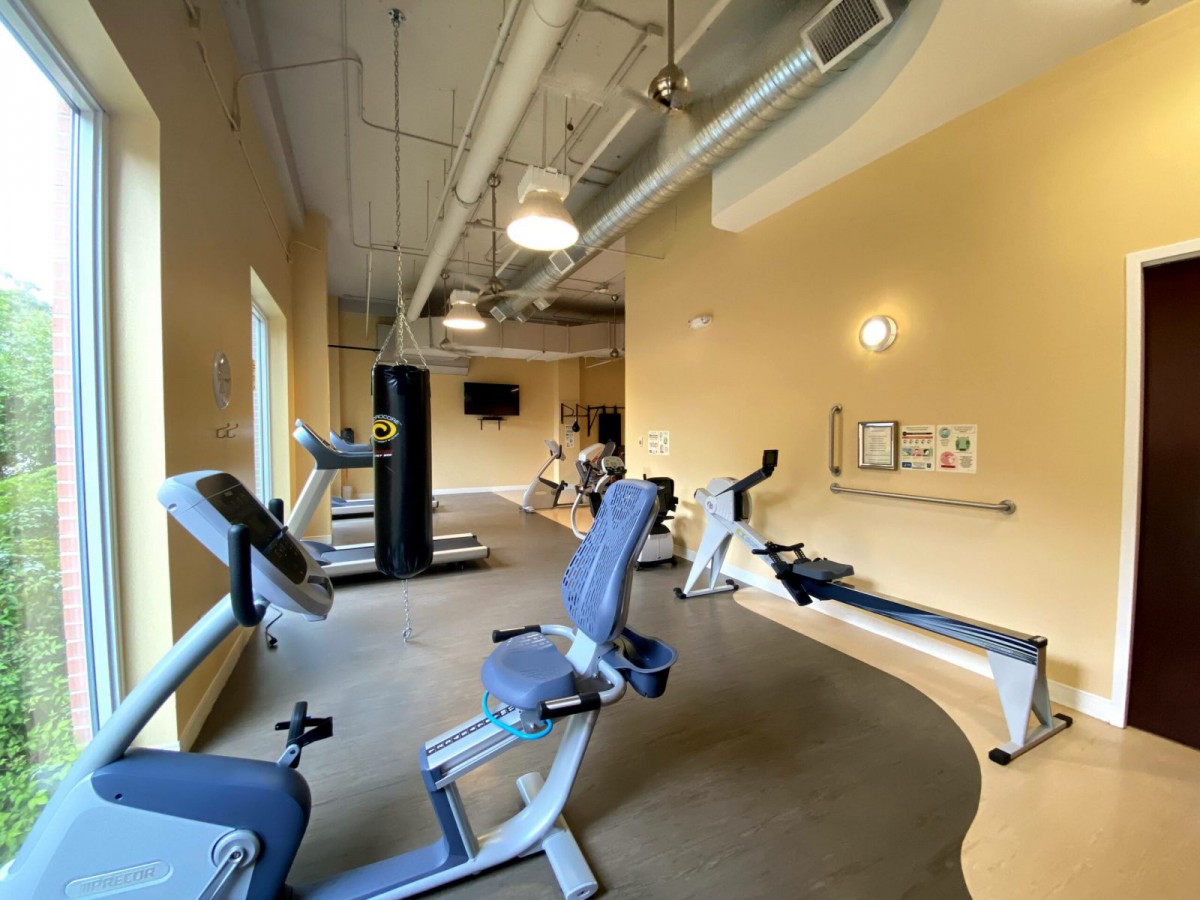 A bright gym space featuring various exercise equipment, including treadmills and a rowing machine.