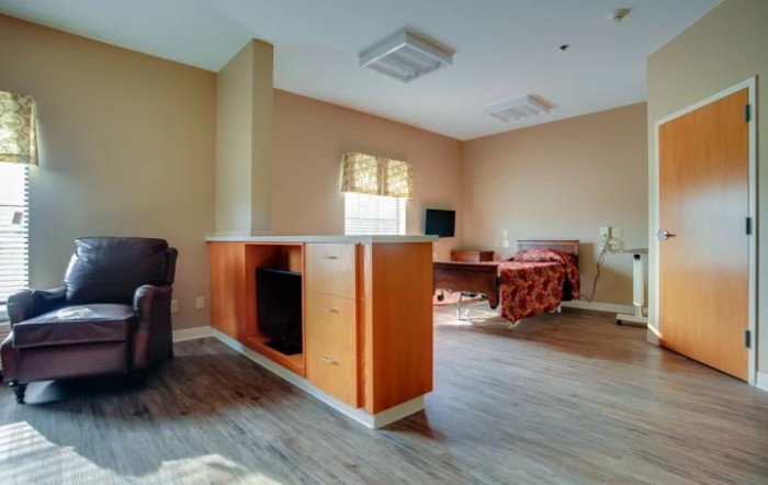 The Springs Skilled Nursing And Therapy