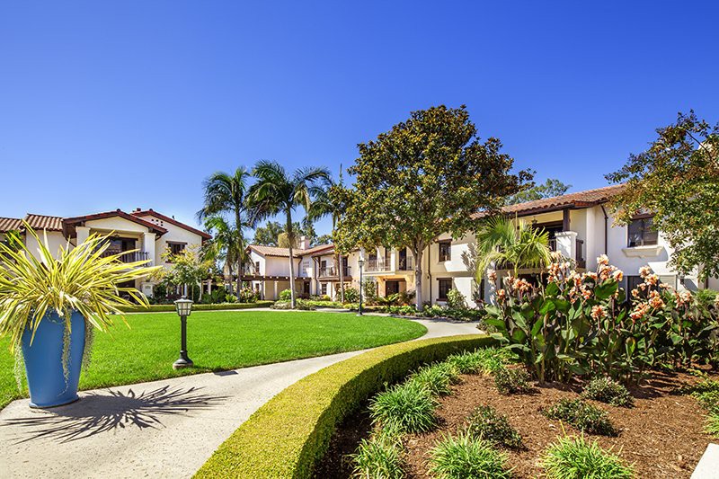 A sunny view of a beautifully landscaped apartment complex with palm trees and walking paths.