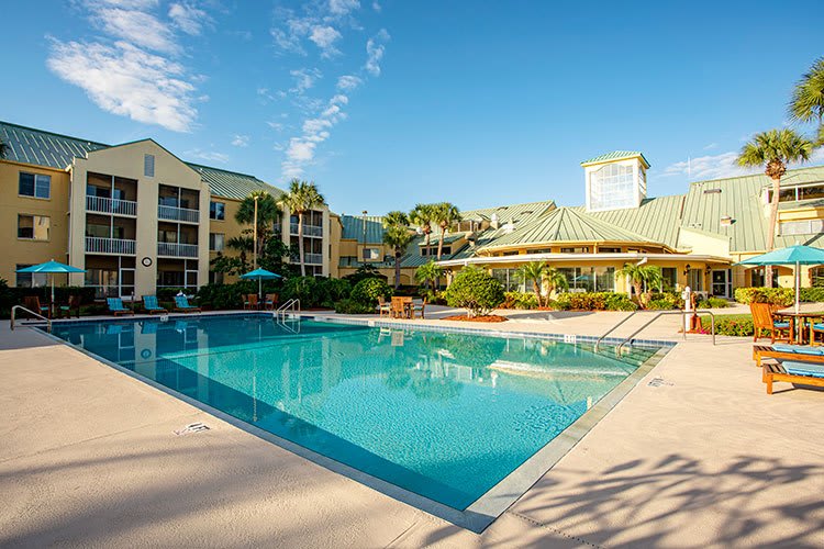 A serene resort swimming pool on a sunny day.
