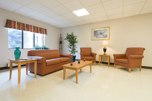 A cozy lounge area with brown leather furniture and a touch of greenery.