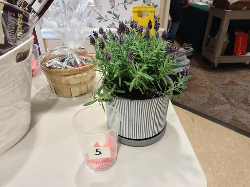 A beautiful potted lavender plant, adding a touch of nature to the indoor space.