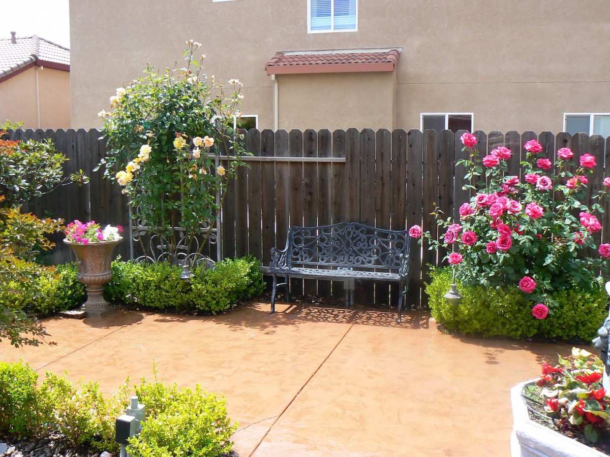 A quaint garden patio with a bench surrounded by vibrant roses and greenery.