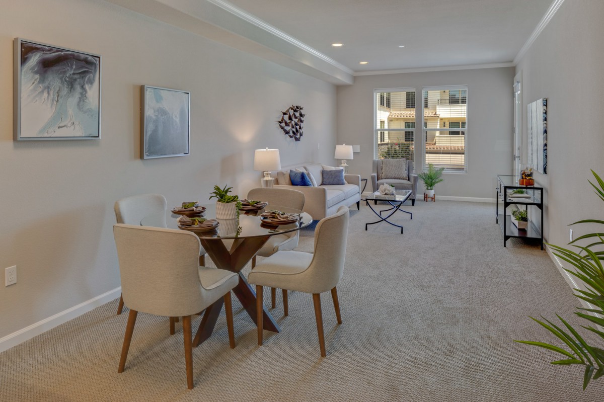 A modern living and dining area with stylish furniture and ample natural light.