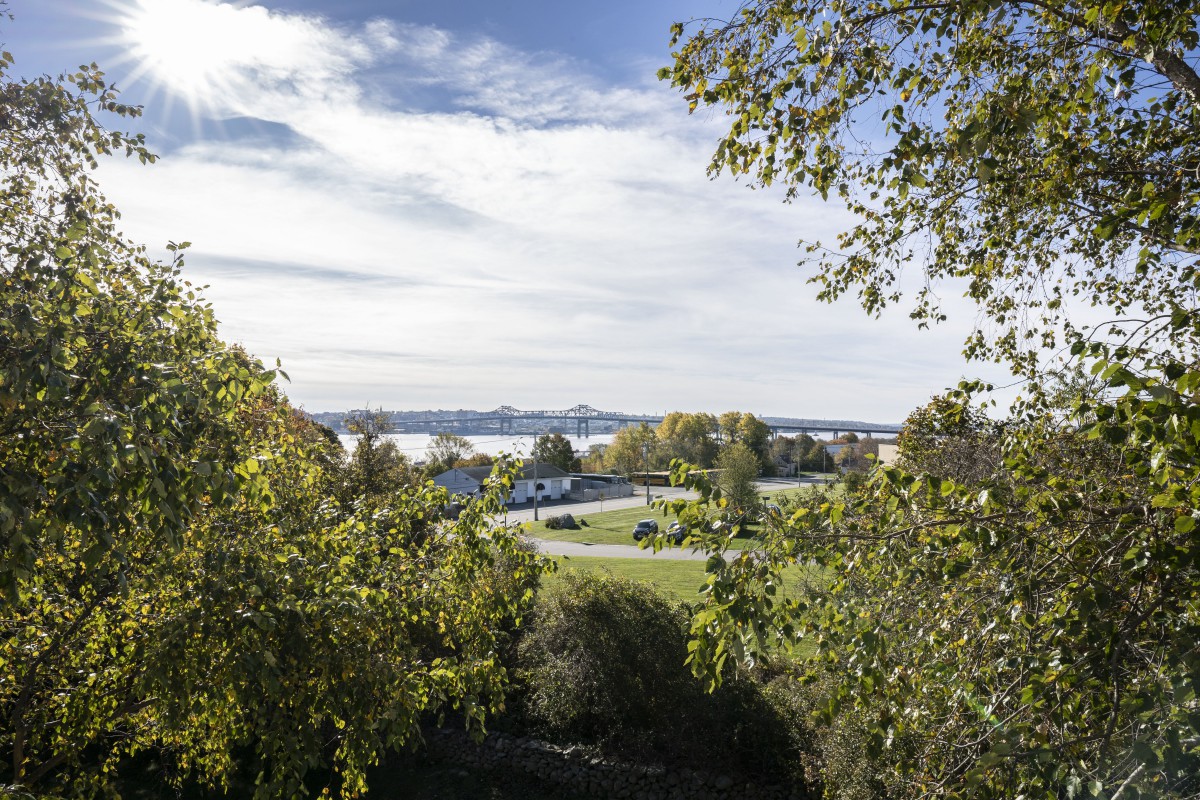 A scenic view of a landscape with trees framing a road and distant hills under a partly cloudy sky.