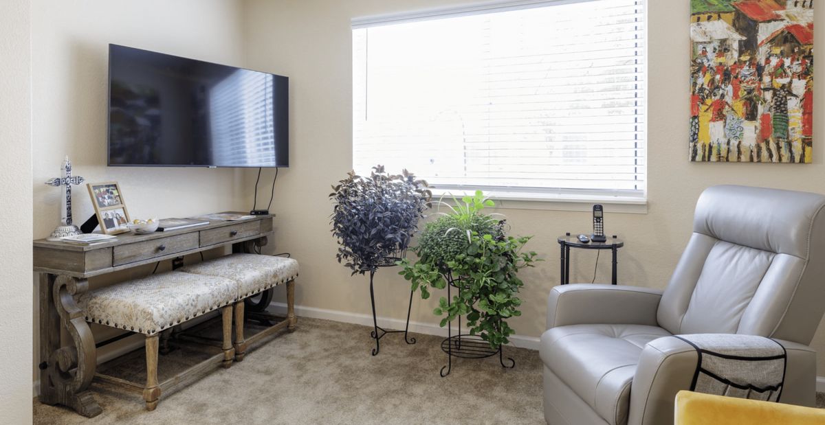 A cozy living room with a television mounted on the wall, indoor plants, and comfortable seating.