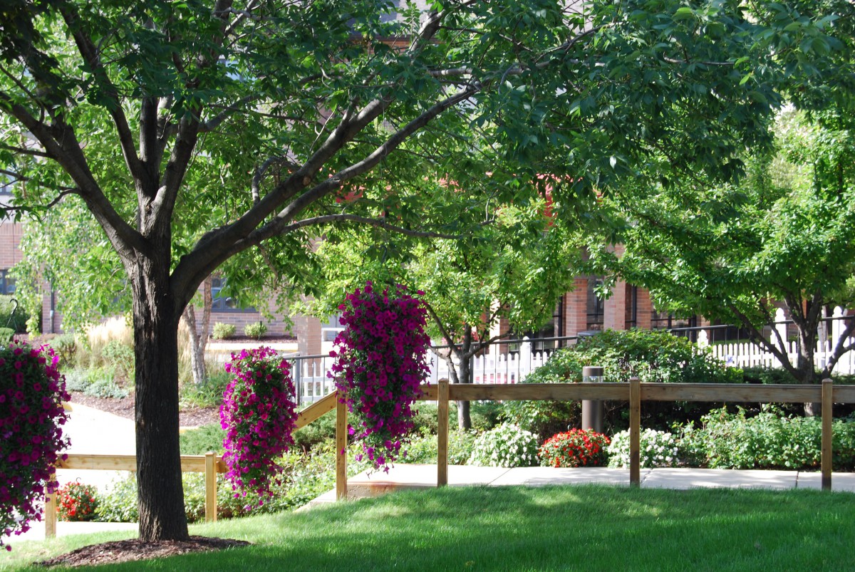 A lush garden with vibrant flowers and trees providing a peaceful outdoor setting.