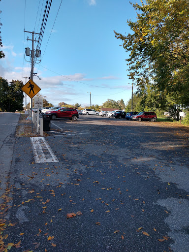 A view of a parking lot surrounded by trees and vehicles under a clear blue sky.