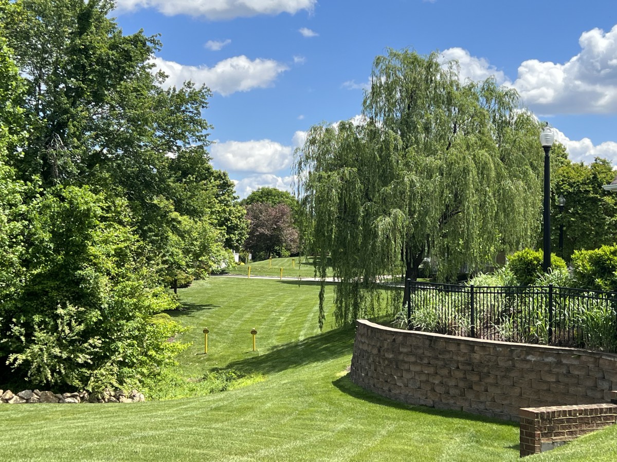 A serene garden landscape with lush greenery and a weeping willow tree under a clear blue sky.