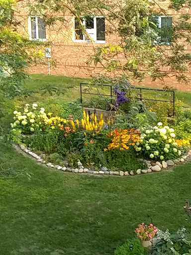 A vibrant circular flower garden featuring a mix of yellow and white blooms surrounded by lush green grass.
