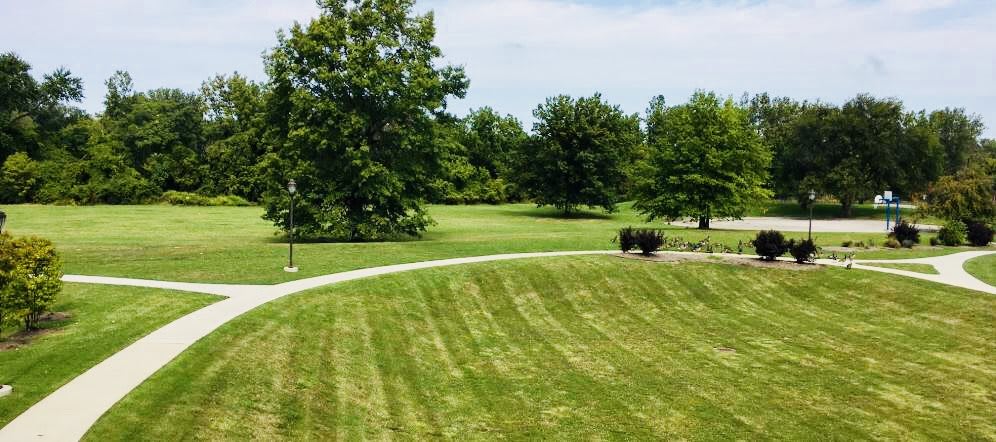 A serene park with a well-maintained grassy area and pathways surrounded by lush trees.