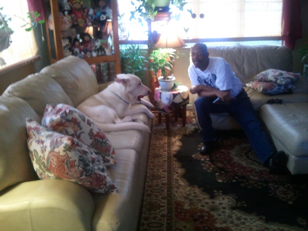 A man sits in a living room next to a dog lying on the couch.
