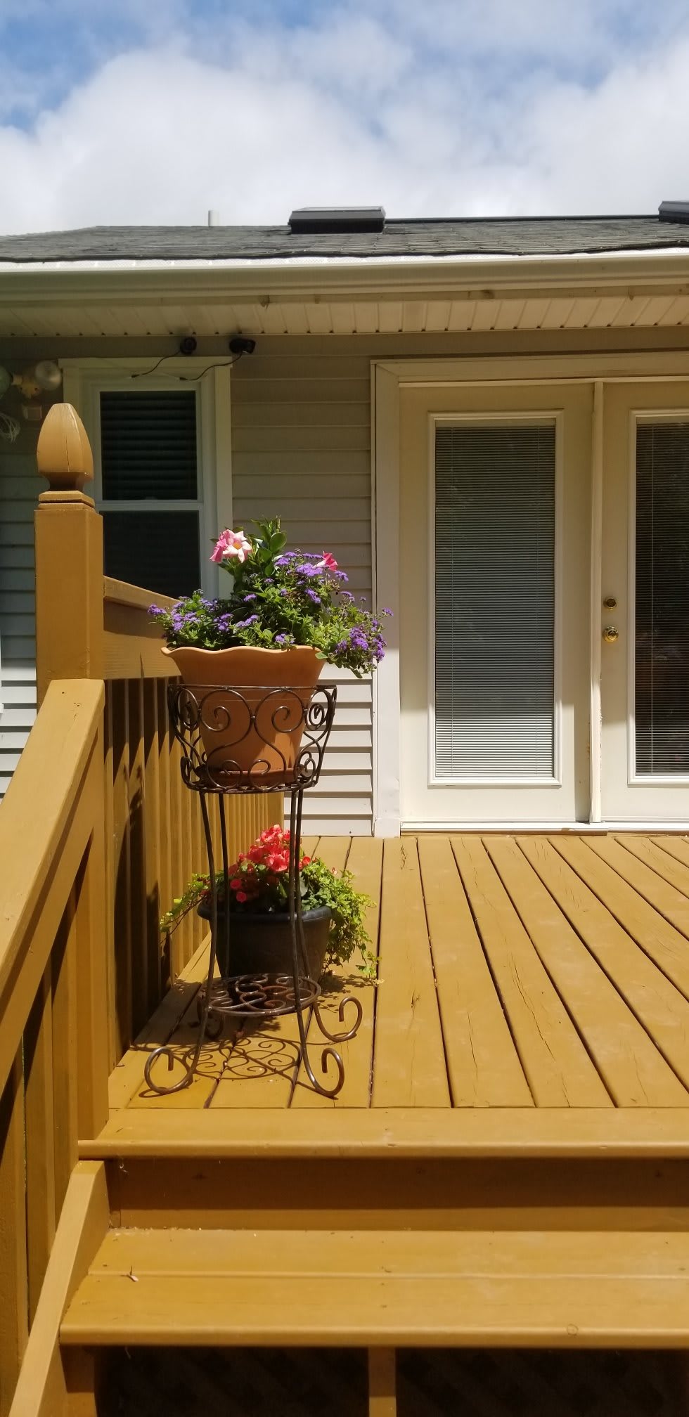 A sunny deck with planters filled with colorful flowers.