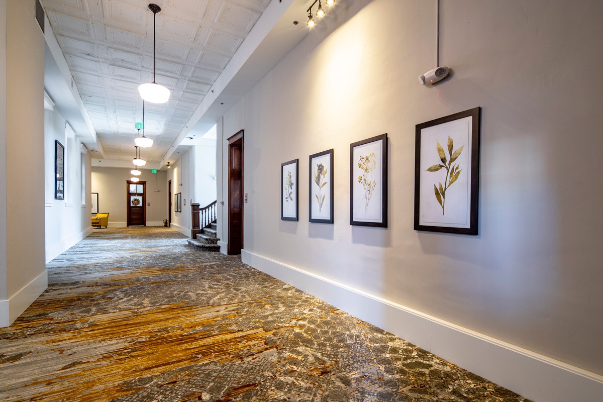 A well-lit hallway featuring framed botanical art and patterned carpeting.