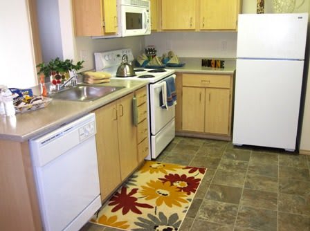 A modern kitchen with light wood cabinets, a white refrigerator, stove, and dishwasher. A colorful rug decorates the floor.