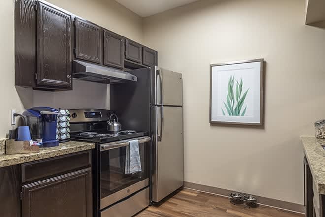A modern kitchen with stainless steel appliances and dark wood cabinets, featuring a framed plant artwork on the wall.