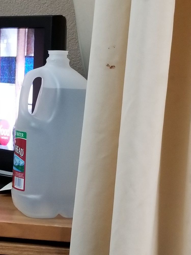 A water jug placed next to a curtain indoors.