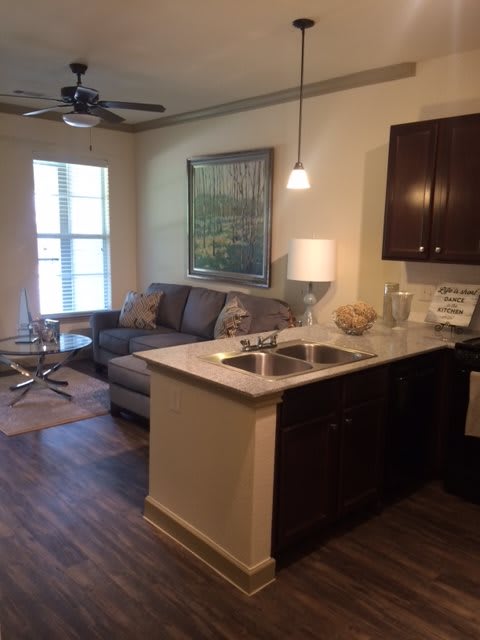 A cozy apartment living room with an open kitchen and a comfortable seating area.
