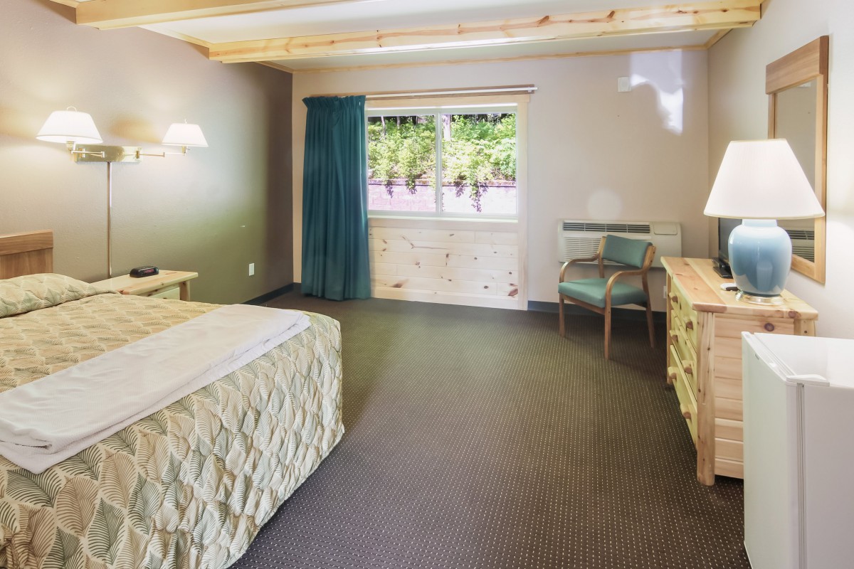 A spacious hotel room with a large bed, desk, and window overlooking greenery.