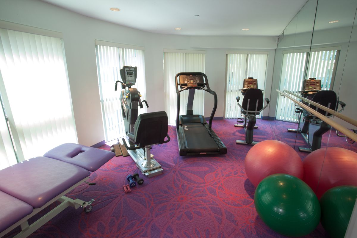 A home gym with various exercise equipment including a treadmill, elliptical machine, and exercise balls.