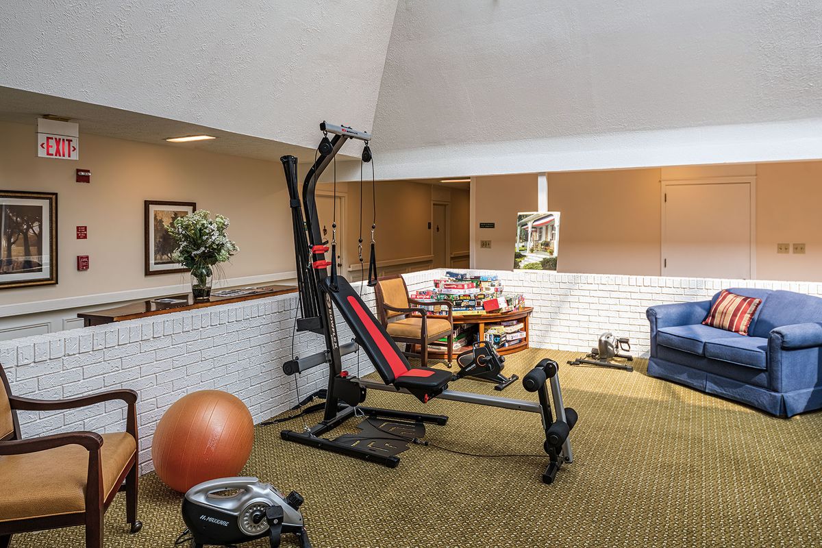 A cozy home gym featuring various exercise equipment, including a treadmill, exercise ball, and weights in an inviting interior setting.