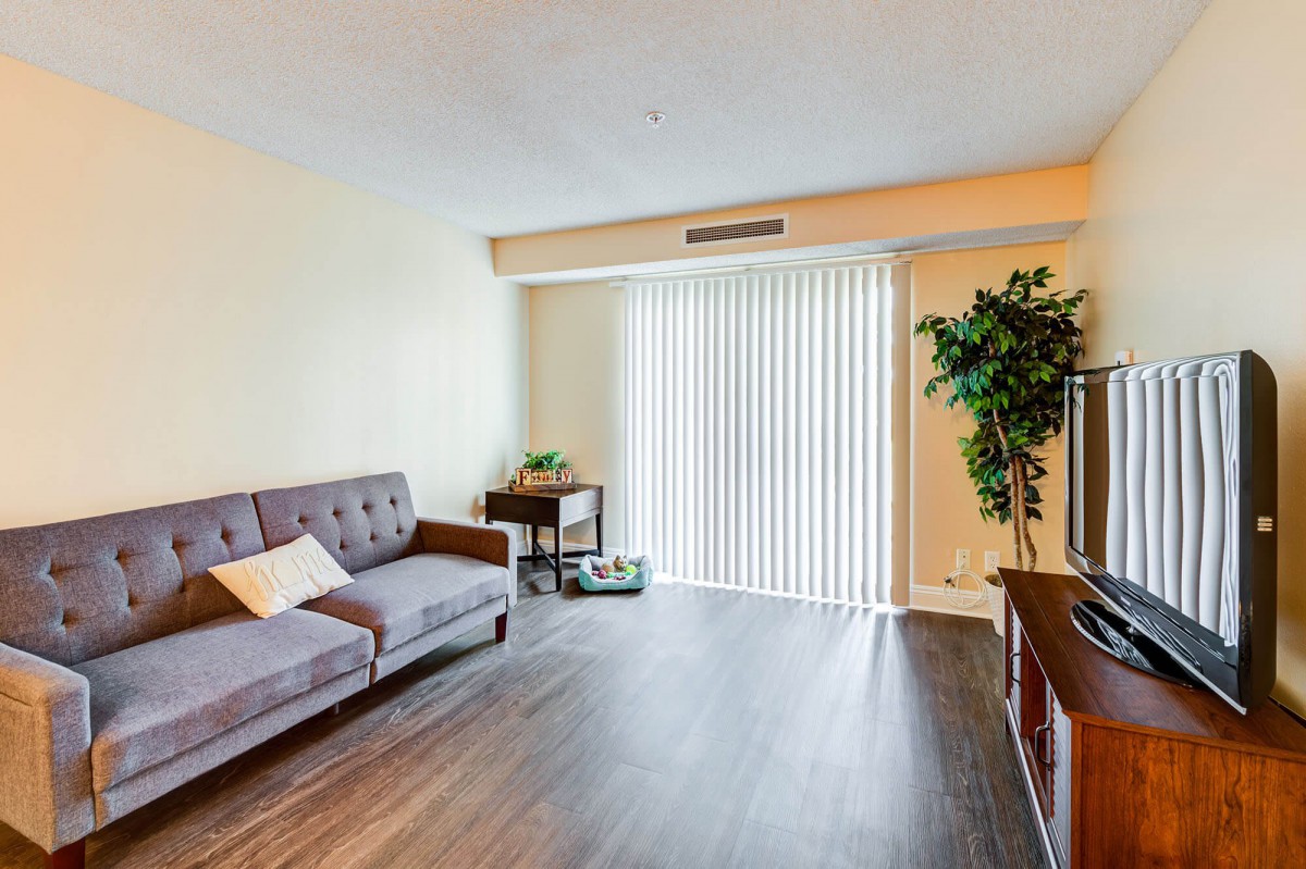 A minimalist living room with a sofa, indoor plant, and window blinds.