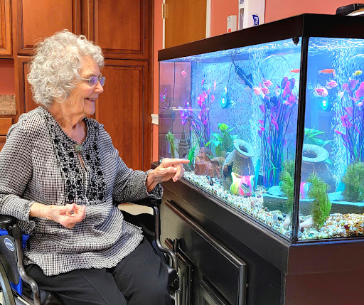 An elderly woman enjoys observing the colorful fish in an aquarium while seated in her wheelchair.
