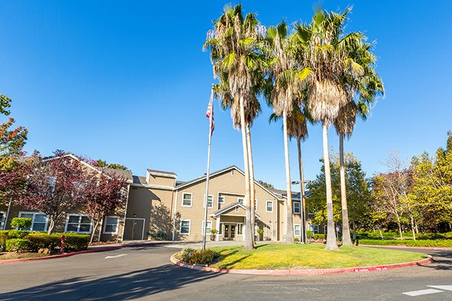 A sunny day view of a building with palm trees lining the driveway.